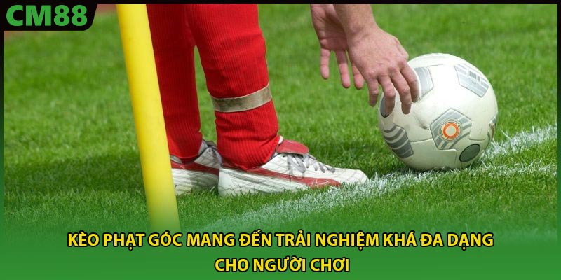 Kèo phạt góc mang đến trải nghiệm khá đa dạng cho người chơi
